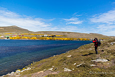 Spaziergang auf New Island