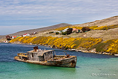 Schiffswrack vor New Island