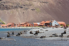 die verlassene Walfangstation von Stromness