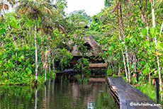 Sacha Lodge, Amazonas Gebiet, Ecuador