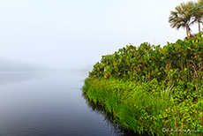 Langsam lichtet sich der Nebel über der Schwarzwasserlagune