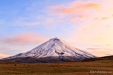 Vulkan Cotopaxi im letzen Licht, Ecuador