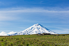 Vulkan Cotopaxi im Morgenlicht