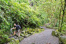 auf dem Weg zum Wasserfall