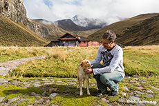 Chris ist auf den Hund gekommen