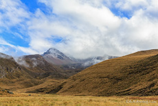 Der Vulkan Chimborazo (6310 m) zeigt sich kurz