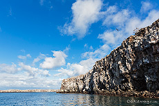 Steilküste, Prince Philip´s steps, Darwin Bay, Insel Genovesa, Galapagos Inseln