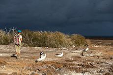 Unser Guide Carolina, Prince Philip´s steps, Darwin Bay, Insel Genovesa, Galapagos Inseln