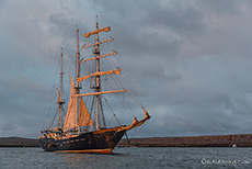 Mary Anne im letzten Licht, Prince Philip´s steps, Darwin Bay, Insel Genovesa, Galapagos Inseln