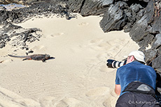 Chris ruht sich mal wieder aus, Sullivan Bay, Insel Santiago, Galapagos Inseln