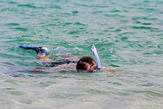 Chris in seinem Element, Sullivan Bay, Insel Santiago, Galapagos Inseln