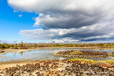 Lagune auf dem Weg zum Dragon Hill, Santa Cruz, Galapagos Inseln