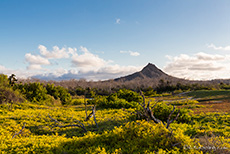 Vulkan, Santa Cruz, Galapagos Inseln