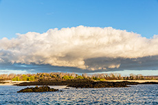 Santa Cruz, Galapagos Inseln