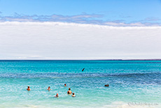 Genug fotografiert, ab ins Wasser, Los Bachas, Santa Cruz, Galapagos Inseln