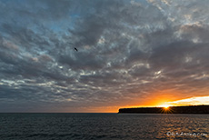 Sonnenaufgang über der Insel Plaza Sur, Galapagos Inseln