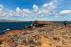 Packesel Chris, Insel Plaza Sur, Galapagos Inseln