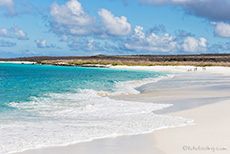 Traumstrand an der Gardner Bay, Insel Espanola, Galapagos Inseln