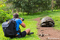 Chris auf Fotojagd, Santa Cruz, Galapagos Inseln