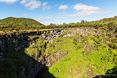 Los Gremolos (Zwillingskrater), Santa Cruz, Galapagos Inseln