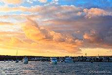 Sonnenuntergang über Puerto Ayora, Santa Cruz, Galapagos Inseln