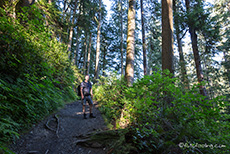 Weg zum China Beach, Vancouver Island