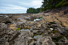 Tidepools am Meer