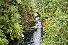 Englishman River, Vancouver Island