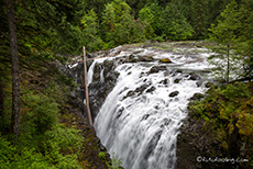 Wasserfall des Englishman River, Vancouver Island