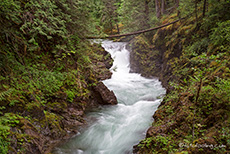 Little Qualicum Falls Provincial Park, Vancouver Island