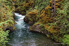 Little Qualicum Falls Provincial Park, Vancouver Island