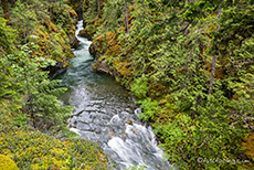 Schlucht im Little Qualicum Falls Provincial Park, Vancouver Island