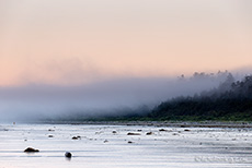 Küstennebel am Strand, Long Beach, Vancouver Island