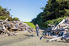 zum Combers Beach geht man durch einen Weg aus Treibholz