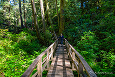 So kommt man sicher durch den Regenwald, Schooner Cove Trail