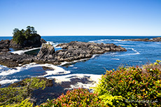 Felsenküste des Wild Pacific Trail in Ucluelet