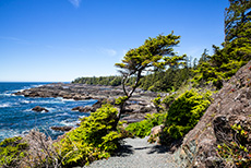 immer wieder gibt es atemberaubende Aussichten am Wild Pacific Trail in Ucluelet