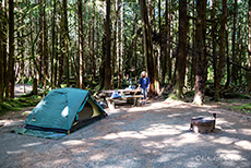 unsere schöne Campsite am Green Point Campground, Long Beach