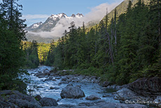 Wally Creek am frühen Morgen, Vancouver Island