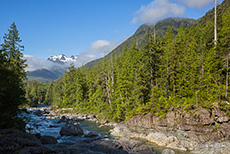 Wally Creek, Vancouver Island