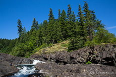 hier frisst sich der Campbell River durch die Felsen, Elk Falls Provincial Park