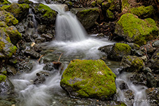 Miniwasserfall, Lupin Falls