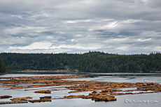 hier gibt es viel Holzindustrie, Vancouver Island