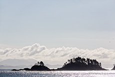 eine Traumlandschaft entlang der Inside Passage