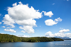 endlose Wälder auch auf den vorgelagerten Inseln, Inside Passage