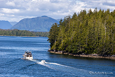 immer wieder treffen wir auf kleine Fischerboote, Inside Passage