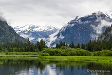 was für eine Traumlandschaft, Khutzeymateen Grizzly Bear Sanctuary