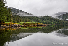 Regenwald, Khutzeymateen Grizzly Bear Sanctuary