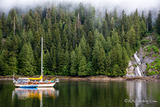 unser Nachbar, Khutzeymateen Grizzly Bear Sanctuary