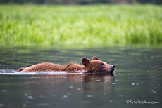 danach ging es wieder durch das Wasser